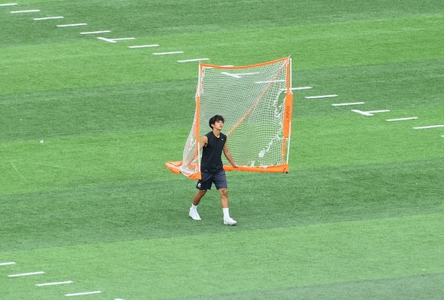 联盟中