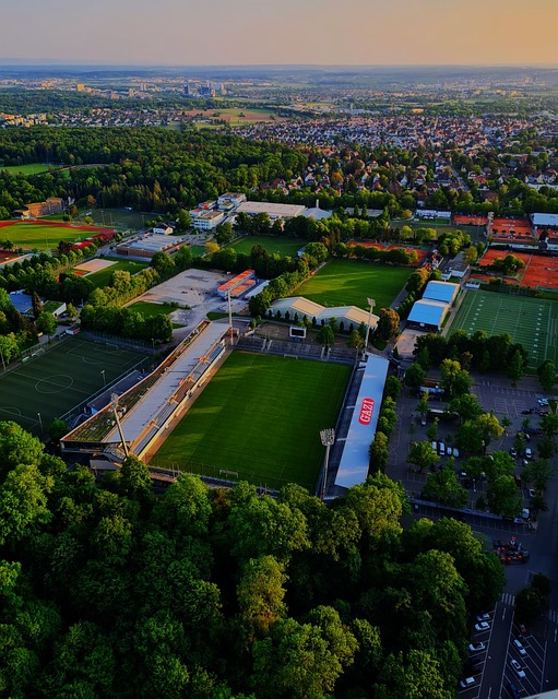 能及心理层 能及心理层