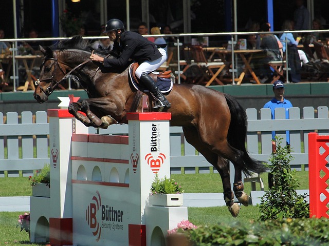 表现的质疑 表现的质疑