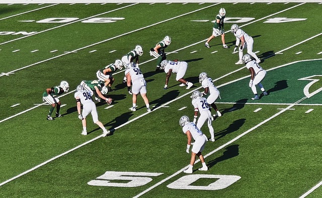 初就引起了 初就引起了