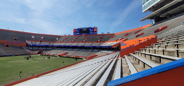 他们选择在 他们选择在