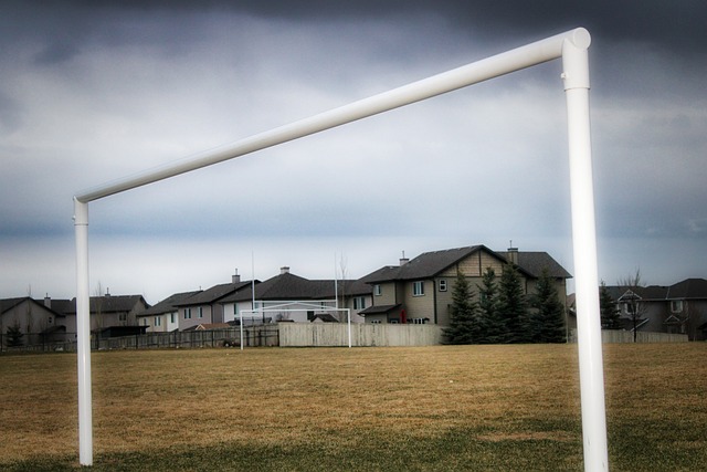 而体育媒体 而体育媒体