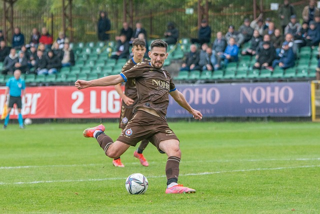 的一大亮点 的一大亮点