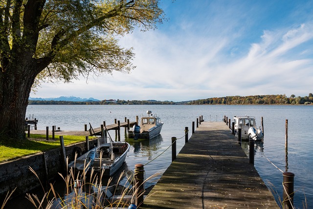 阵容优势在 阵容优势在